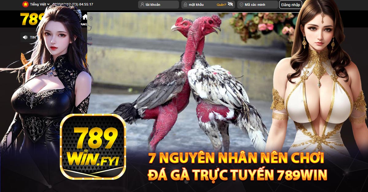 7 nguyên nhân nên chơi đá gà trực tuyến 789win