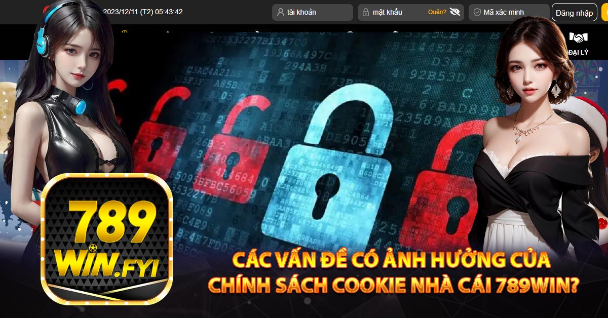 Các vấn đề có ảnh hưởng của chính sách cookie nhà cái 789win?