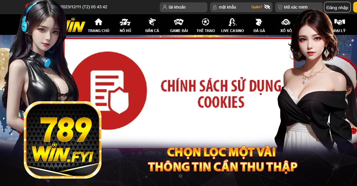 Chọn lọc một vài thông tin cần thu thập
