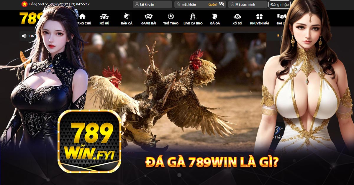 Đá gà 789win là gì?