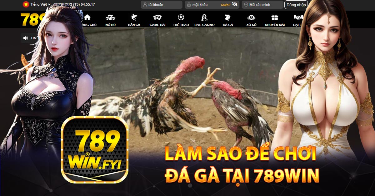 Làm sao để chơi đá gà tại 789win
