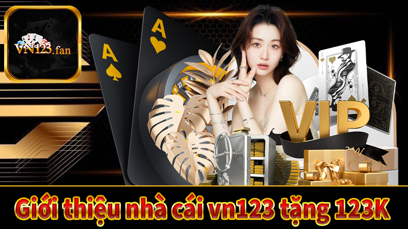 VN123